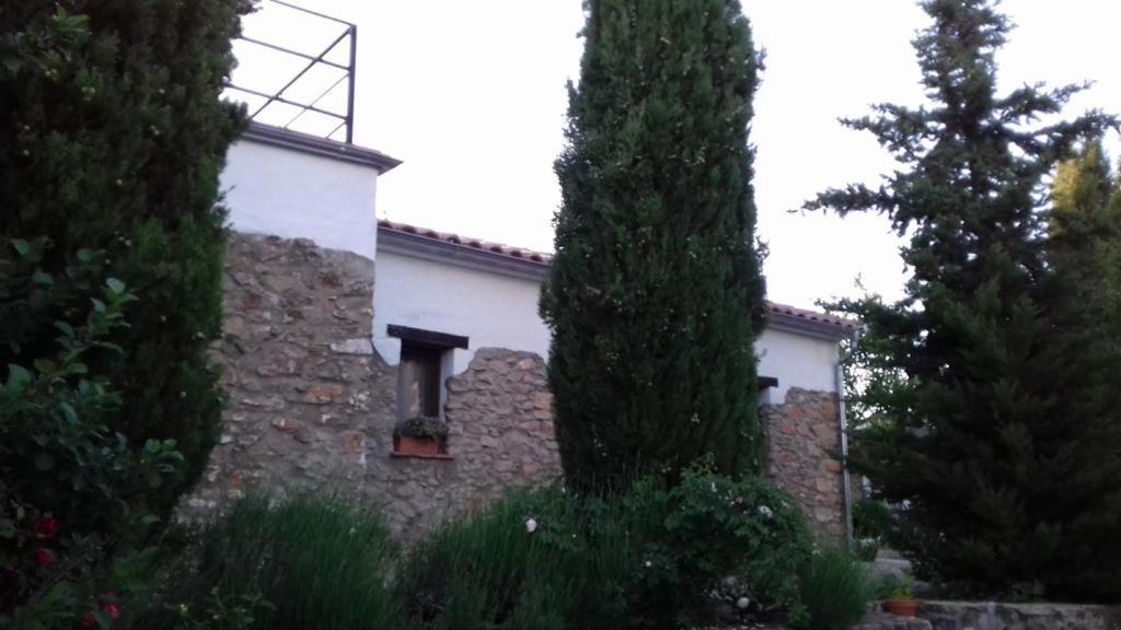 Casas De Almajar Villa Prado Del Rey Exteriör bild
