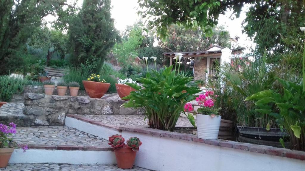 Casas De Almajar Villa Prado Del Rey Exteriör bild