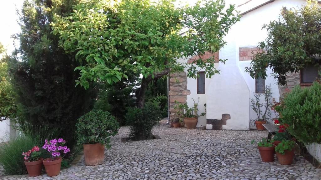 Casas De Almajar Villa Prado Del Rey Exteriör bild